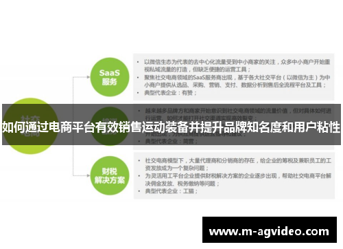 如何通过电商平台有效销售运动装备并提升品牌知名度和用户粘性